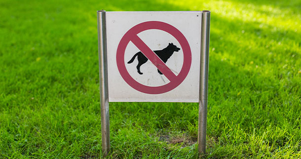 no dogs allowed sign in yard