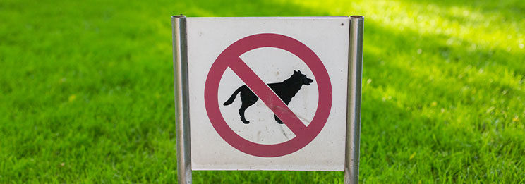 no dogs allowed sign in yard